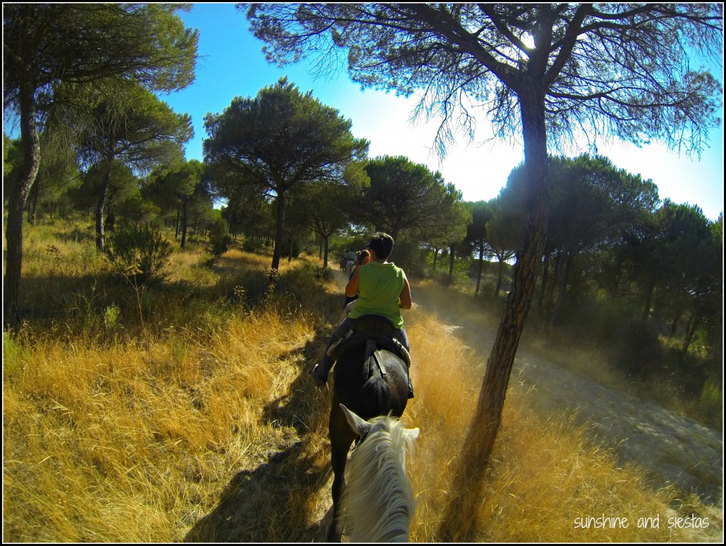 Horseback Riding in Doñana National Park, Spain