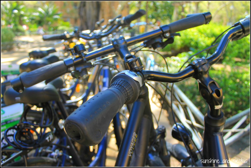 Seville Bike City