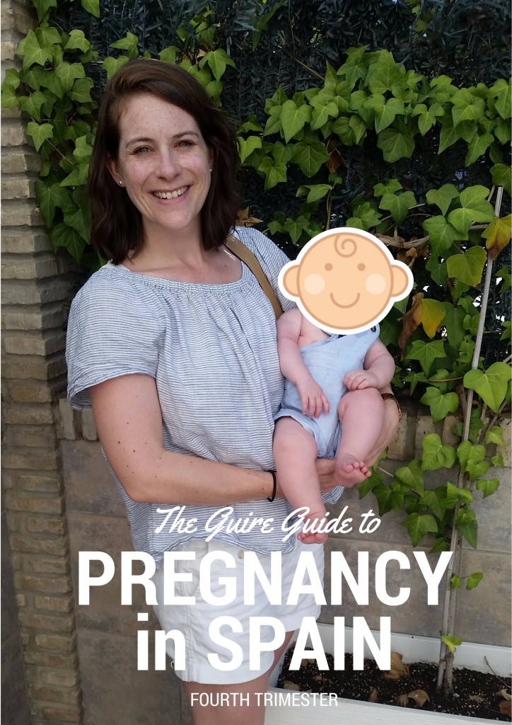 The Guire Guide to Pregnancy and Childbirth