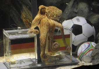 Read more about the article A POR ELLOS: Watching the 2010 World Cup in Spain