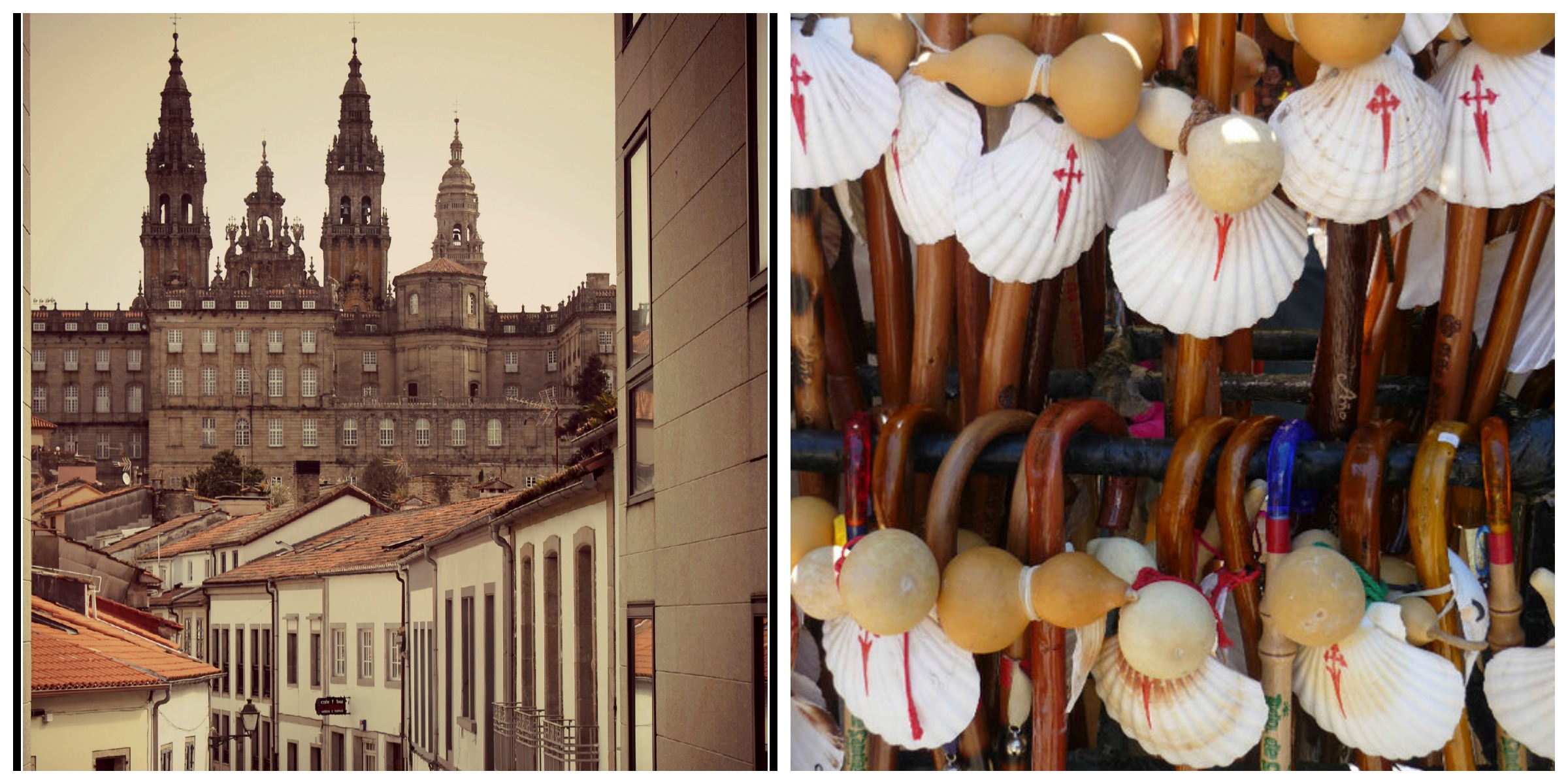 Read more about the article Preparing for the Camino: Why I’m Walking
